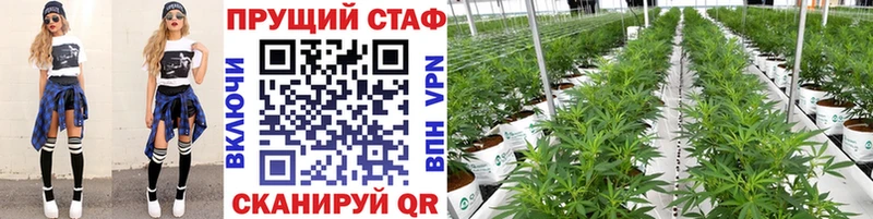 Какие есть наркотики Болхов Конопля  Альфа ПВП  blacksprut ссылка  Меф мяу мяу  ГАШИШ  АМФЕТАМИН 