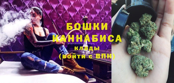 PSILOCYBIN Алексеевка