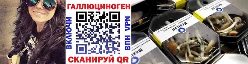 Псилоцибиновые грибы Cubensis  Болхов 